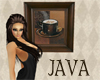 (20D) Java