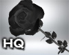 Dark Rose / M - F