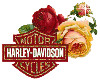 [R] Harley Davidson