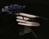 Black Rose