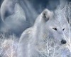 ~M~ White Wolf 2