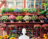 ᴳᴰ BG. Flowershop