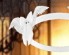 Angel Halo