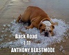 Backroad  beatmode 1-11