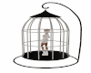 Pose in cage/add dance