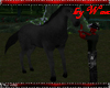 !W Rideable horse 1