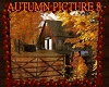 Autumn Picture 8