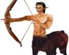 Centaur Warrior Archer