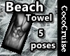(CC) Beach Towel 5poses