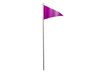 Purple Flag