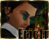 Banner Ericfr 1