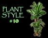 (IKY2) PLANT STYLE #10