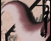 Cozy Tail V2