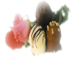 Choc and Flowers