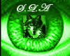 green wolf eye