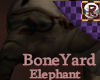 BoneYard Elephant