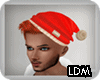 [LDM]Noel Hat Ginger