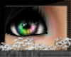 Rainbow Kitty Eyes {TB}