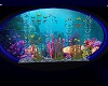 !S! Wall Aquarium