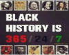 Black History Wall Flag