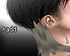 ✦ Back 04+