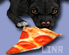 Dog Black Hungry Pizza