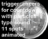 New Year countdown ANI