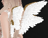 Goddess Wings