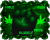 Kush Paws