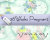 38 Weeks Pregnant (b)