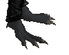 Black Dragon Feet