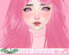 Lissa Pink