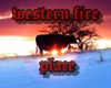 western fire place