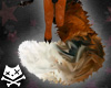 Foxy Red Fox Giant Tail