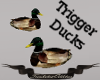 Stories Ducks/sound