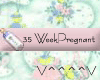 35 Weeks Pregnant (P)