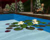 (S)Water Lilys
