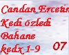 Candan Ercetin Kedi