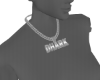 DHARK necklace