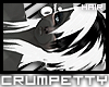 [C] BnW AMYA  hair