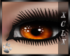 XCLX Glam Eyes Orange F