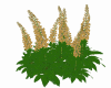 Flowers E