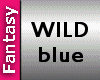 [FW] wild blue
