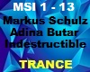 Markus Schulz Indestruct