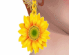 𝐼𝑧.SunButterfly