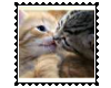 Kissing Kitties