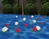 WaterRoses with Sound