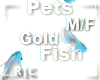 R|C Gold Fish Blue M/F