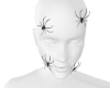 Animated Spiders