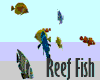 Anim Reef Fish
